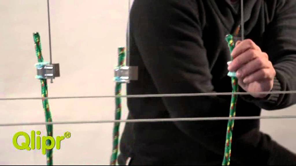 Qlipr - end of the cultivation