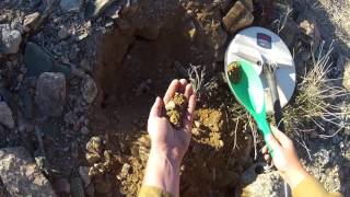 Digging a bunch of gold nuggets, saying goodbye to the desert. Metal Detecting Gold GPZ 7000 by USMiner 174,054 views 7 years ago 5 minutes, 23 seconds