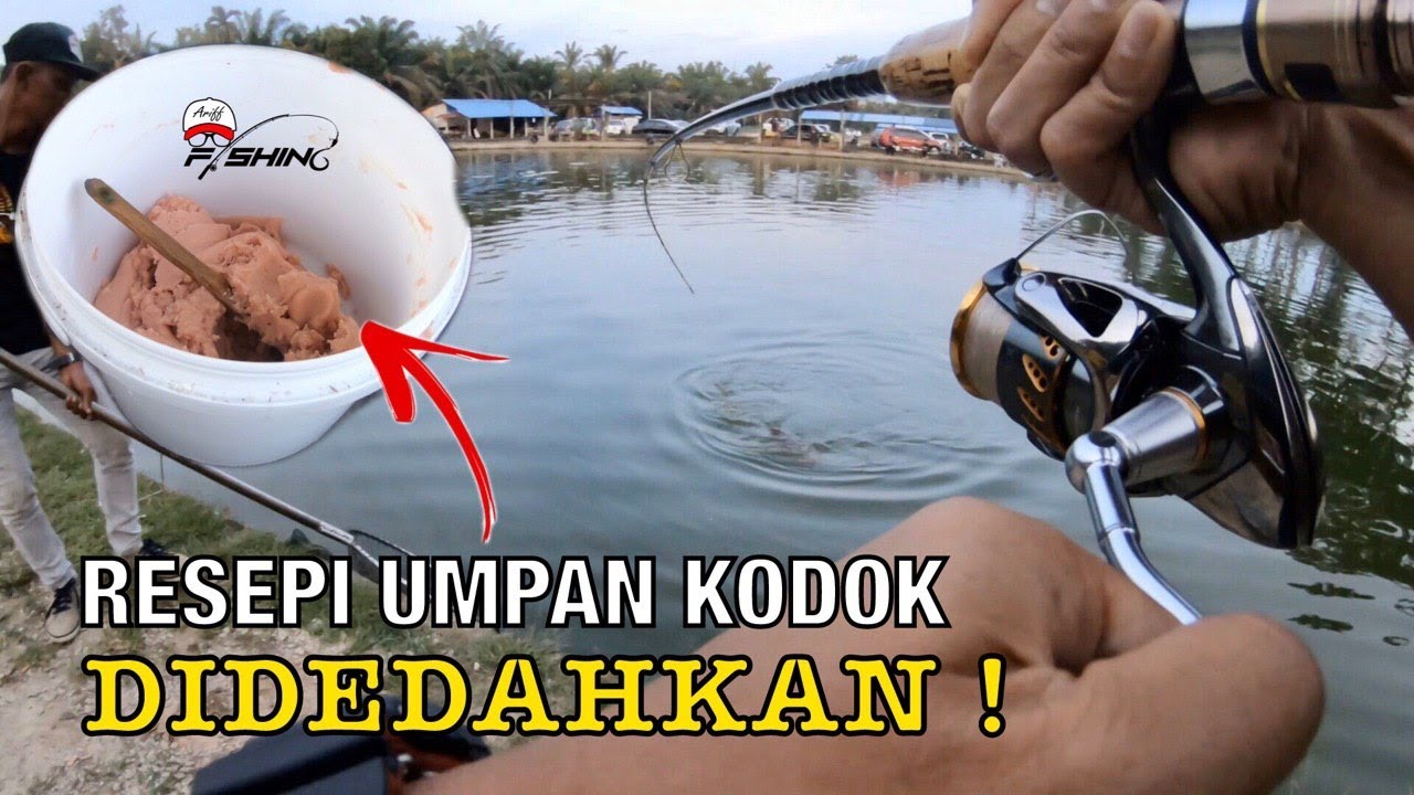 Resepi Umpan Patin Kolam | BOCORKAN RAHSIA!