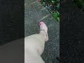 New pink high heels👠 #foot #pedicure #relaxingfeet #satisfying Subscribe for more beautiful moments