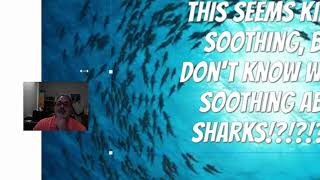 Scrolling Text