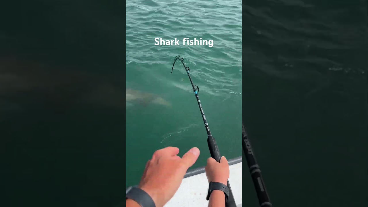 Shark fishing in the Virgin Islands