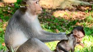 Hard Weaning, Youngest Mom Julina Stop Feeding Milk Weaning Baby Jasper Everyday, Baby Hungry