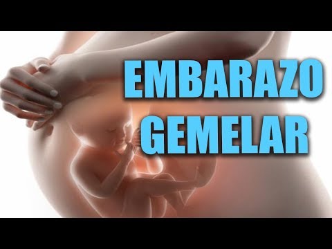 Video: ¿Cuándo son los diferentes trimestres del embarazo?