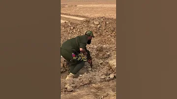 ملاا خضر عباس في ساحة القتال احمد علي كريم اكسبلور ياعلي ترند الاربعين 