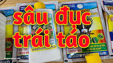 Hd291.Thuốc trị sâu đục trái táo mát bông mát trái