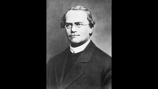 SCHOOL PROJECT - Gregor Mendel