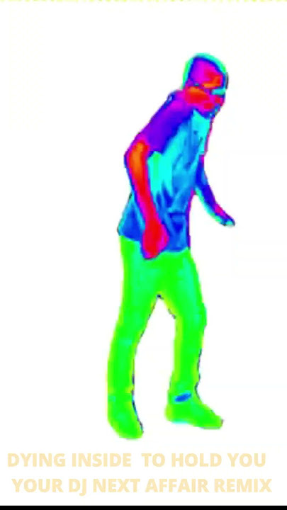 DYING INSIDE TO HOLD YOU - your dj next affair remix