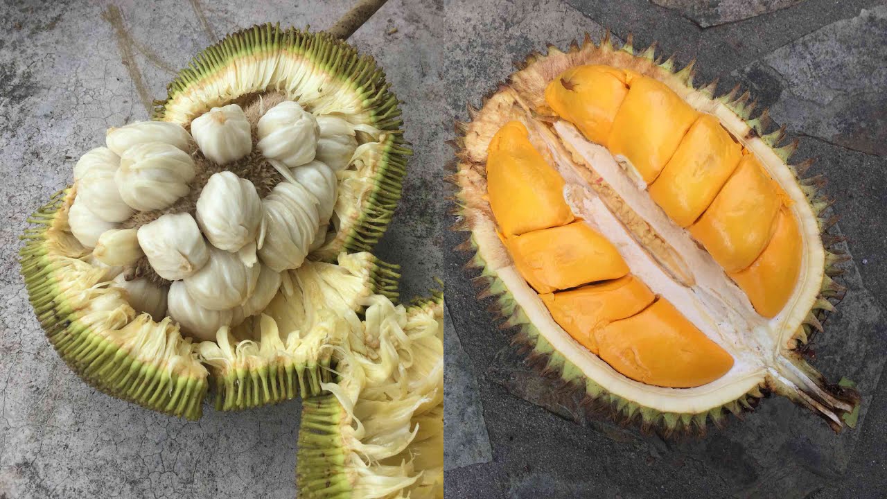 Borneo JUNGLE FRUIT MARKET tour! YouTube