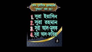 ইসলামিক কুইজ #ইসলামিকভিউজ #islamicquiz #islamicviews #islamic #islam #motivation #youtube