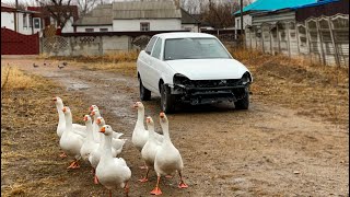 Говорили СДАЙ на МЕТАЛЛ, НО Я ДАЛ ЕЙ ЖИЗНЬ! САМ ПОКРАСИЛ ПРИОРУ!