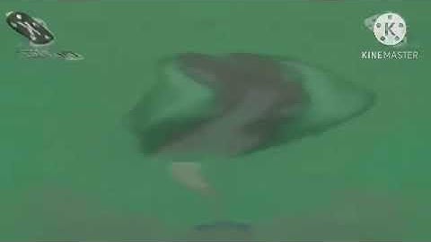 Getting Bigger Head Csupo in Luig Group Render Pack Round 11 U Major