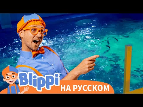 Видео: Вземете билети, за да видите The View на живо в Ню Йорк