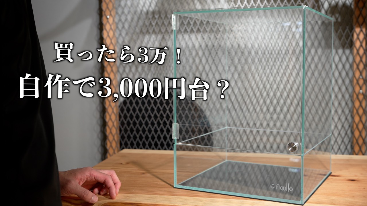 【前編】初心者がパルダリウムを始めるのにまずカッコいいガラス水槽作りから