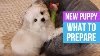 BRINGING HOME A NEW PUPPY : First steps and what to prepare