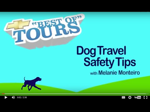 Chevy's Dog Travel Safety Tips with Melanie Monteiro