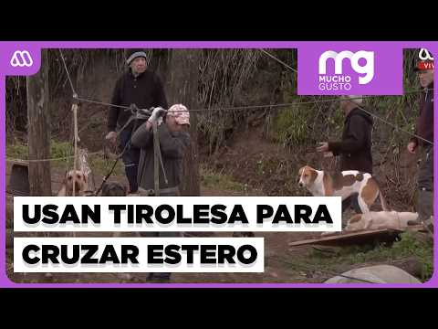 Family isolated by creek flooding in San Fernando: They must cross using a makeshift zipline