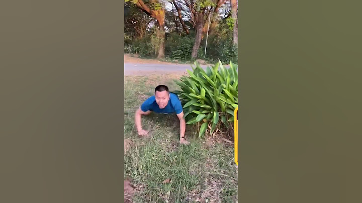 ระวังจระเข้