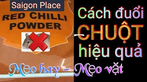 Cách đuổi CHUỘT hiệu quả nhất - Mẹo hay - Mẹo vặt  - @SaigonPlace