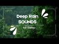 Deep Rain Sounds for Sleep &amp; Relaxation