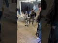 Roboter beim Festival AI in Lugano!