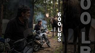 600 pound monster visits my motorcycle camp #adventure