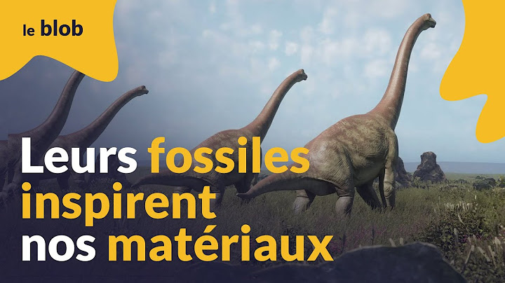 S’inspirer de fossiles pour développer de nouveaux matériaux de construction | Nature = Futur !