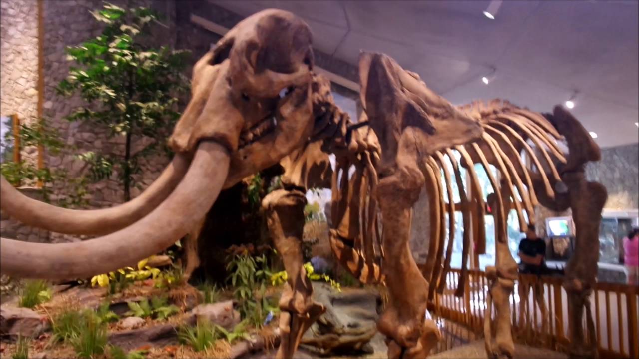 MO State Parks Centennial Passport: #3 Mastodon State Park - YouTube