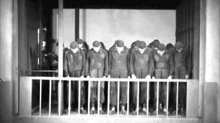 Witch Ripper - Hydra