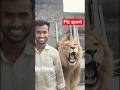 #shotsfeed #rost #lionroarsound shots feed video lion roar sound effects lion sound effects video Ai