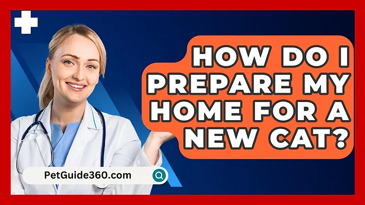 How Do I Prepare My Home for a New Cat? - PetGuide360.com