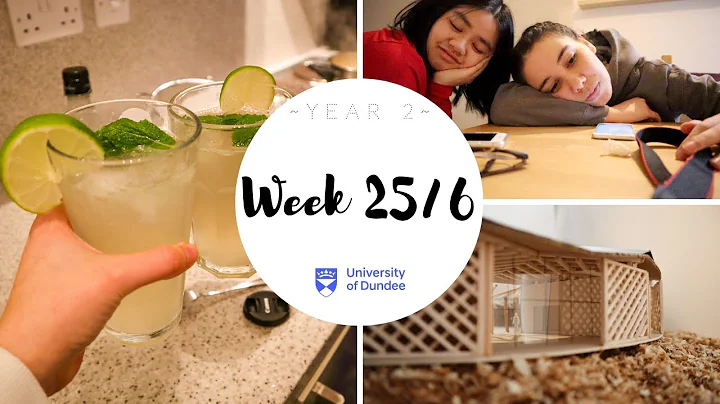 Deadlines + Moving To New Flat | Week 25-26 - UoD