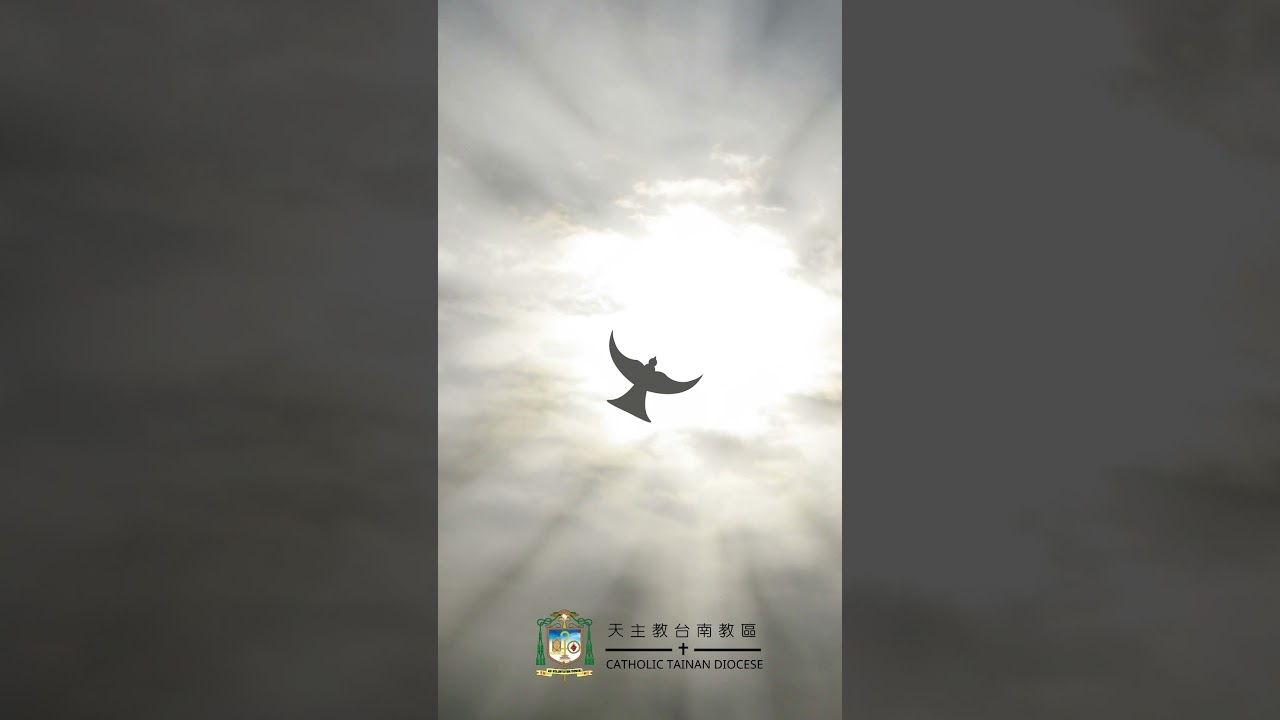 05/04  恭讀聖若望福音　14:21-26  父所要派遣來的護慰者，必要教訓你們一切。