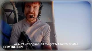 animal rescue operations