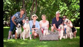 Download Lagu Remembering George the Bully Beagle Download Lagu Remembering George the Bully Beagle
