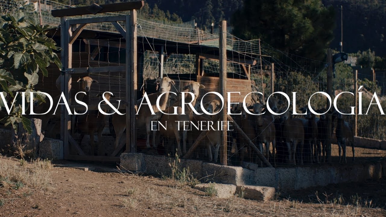 VIDAS Y AGROECOLOGÍA EN TENERIFE