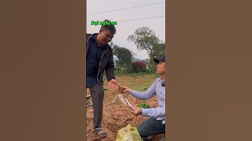 Phổ cập tiếng Nghệ tiết 12: Vựa chồng nhà ni nói chi đó hè dịch hộ tui cái  @nguthienduong #sủi_cảo