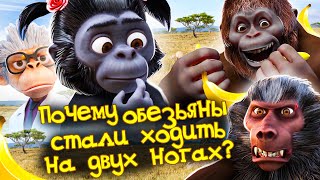 Почему обезьяны стали ходить на двух ногах? | Андрей, Маруся и другие обезьяны | 2-я серия