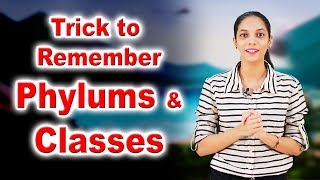 Class 10 I Trick to Remember Phylums 