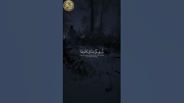#القرآن_الكريم #الرحمن #تلاوة_خاشعة   #المصحف #تلاوة_مؤثرة
