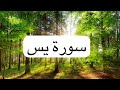 سورة يس ماهر المعيقلي مناظر طبيعية خلابة 