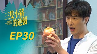 三隻小豬的逆襲 EP30 Piggy's Counterattack｜三立華劇