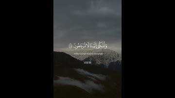 سورة المئمنون #اكسبلور #explore