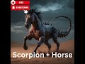 Stunning Animal Fusion part 15 #animals #hybrids #shorts #youtubeshorts #hybridanimals