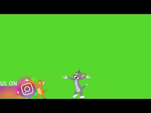Video free green screen tom and jerry social media logo... - youtube