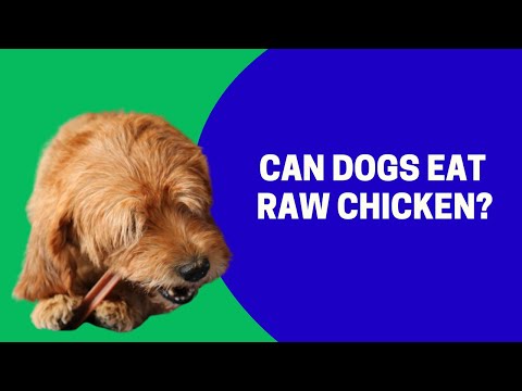 Video: OC Raw Dog LLC Secara Sukarela Mengingatkan Makanan Ayam, Ikan & Menghasilkan Makanan Anjing Dan Sarden Kering Beku