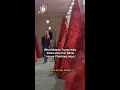 Melania Trump's Christmas Decor