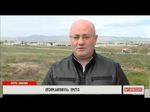 ტვ 1 - 22/04/2017 - გამწვანება