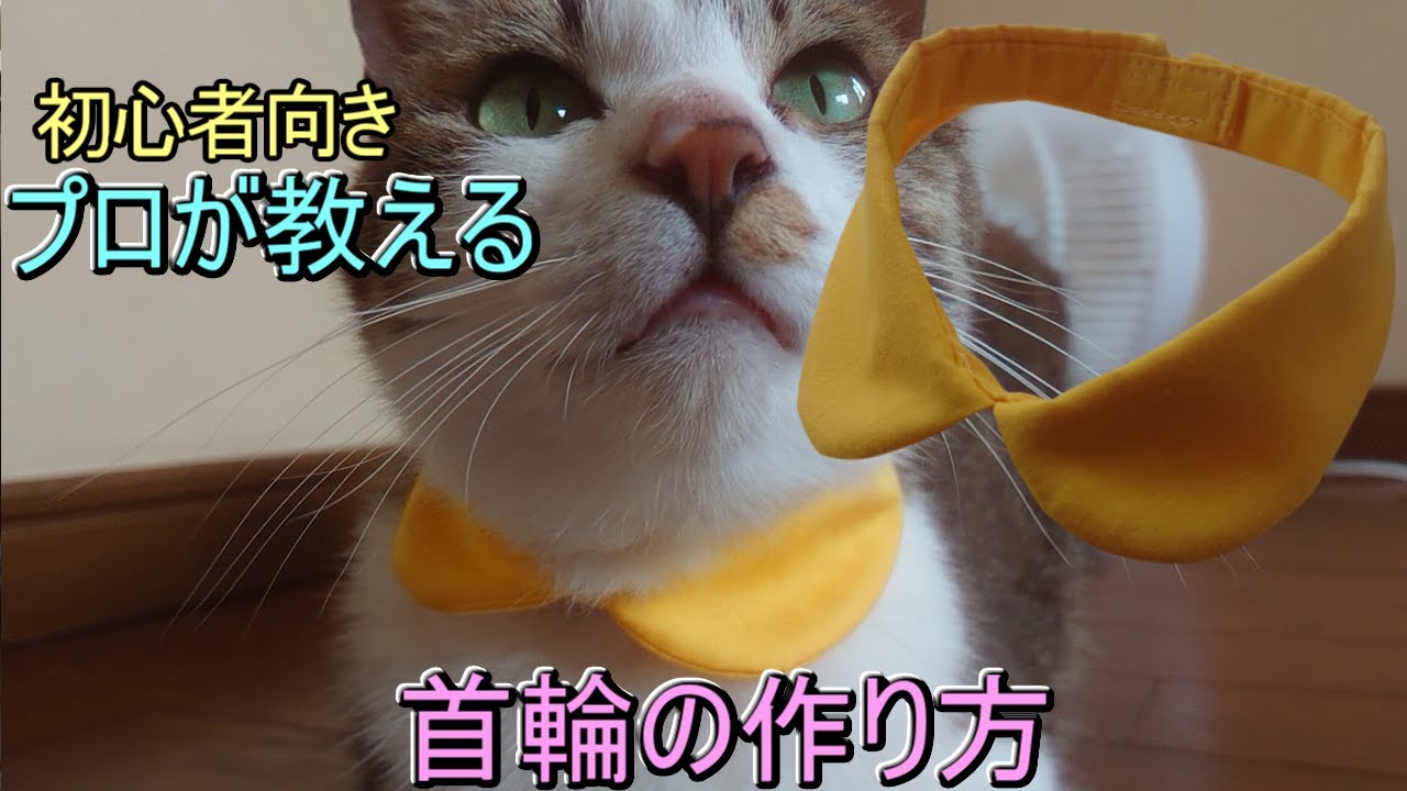 【幸せの】黄色い襟首輪・作り方と幸せがやって来る方法を教えます