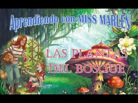 Video: ¿Qué tipo de plantas hay en el bosque?